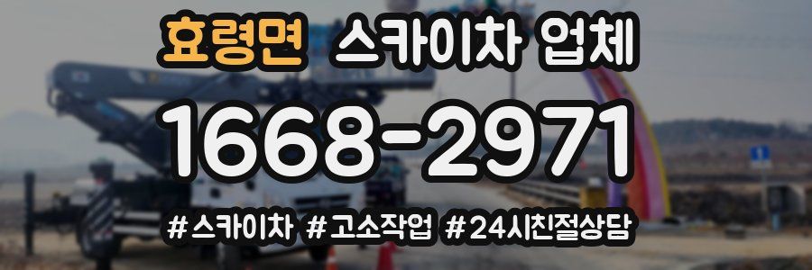 효령면 스카이차 업체