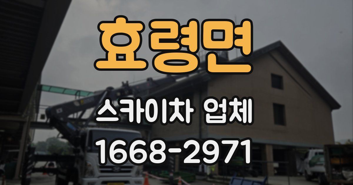 효령면 스카이차 업체