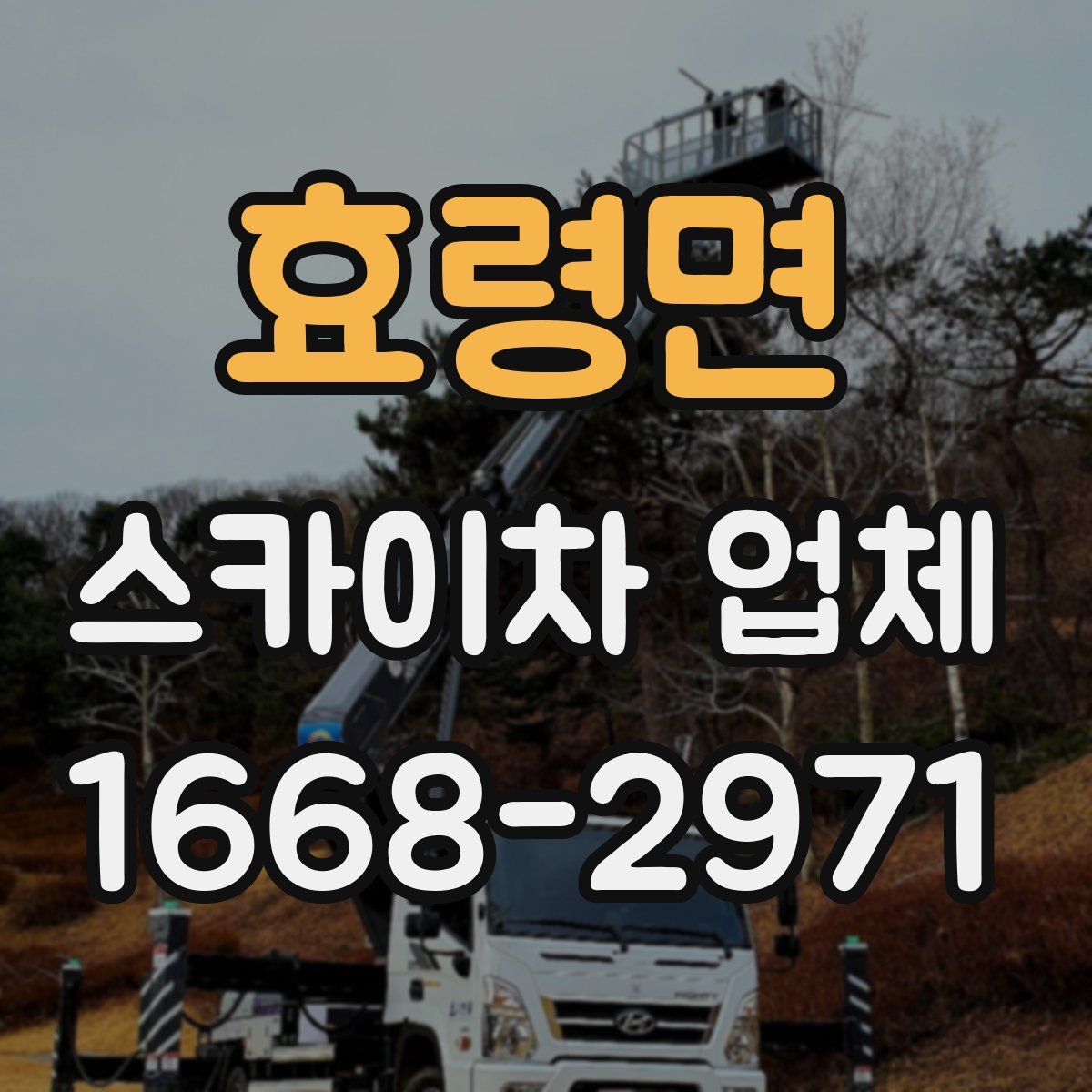 효령면 스카이차 업체