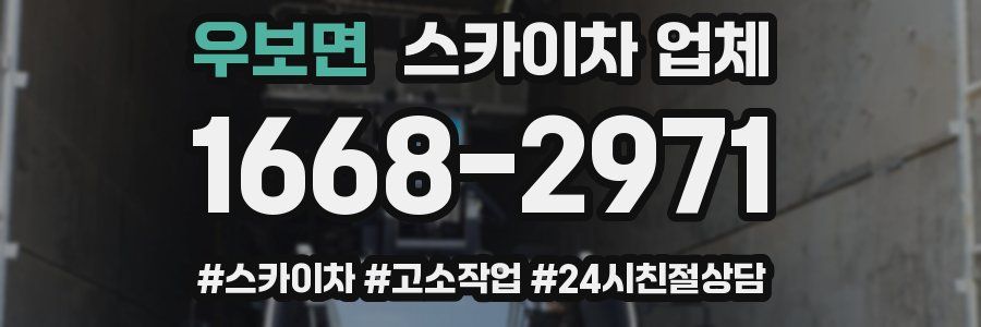 우보면 스카이차 업체