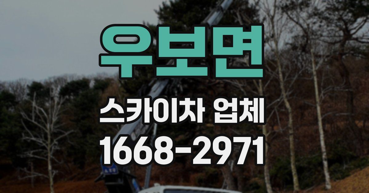 우보면 스카이차 업체
