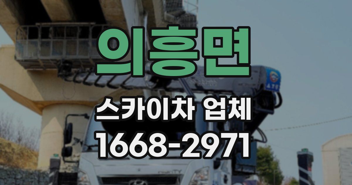 의흥면 스카이차 업체