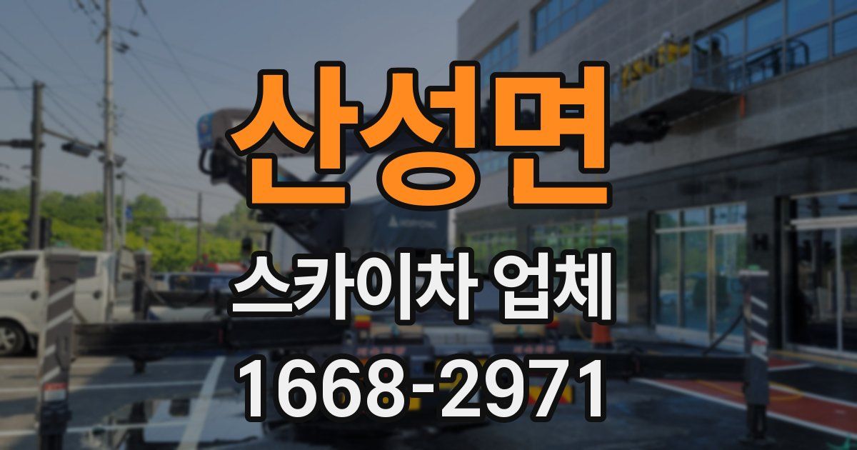 산성면 스카이차 업체