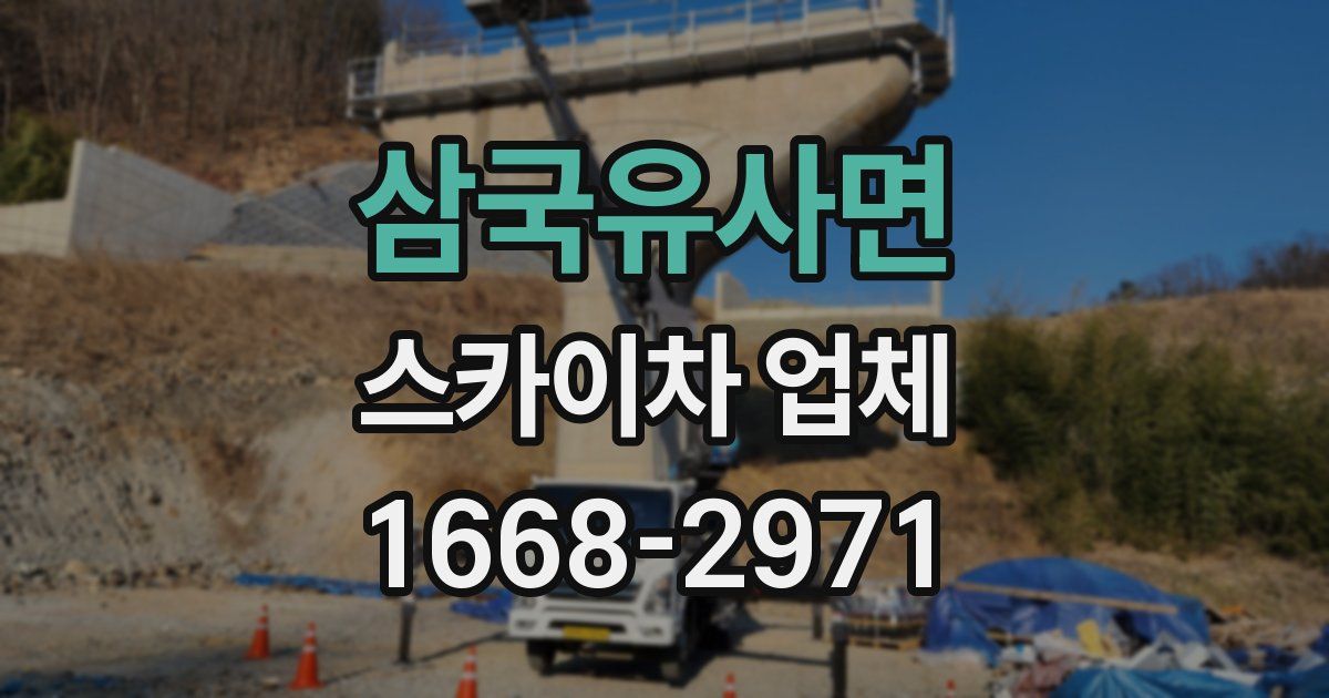 삼국유사면 스카이차 업체