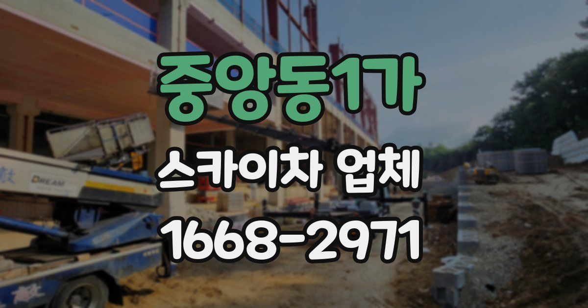 중앙동1가 스카이차 업체