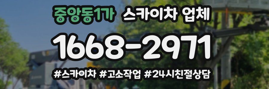 중앙동1가 스카이차 업체