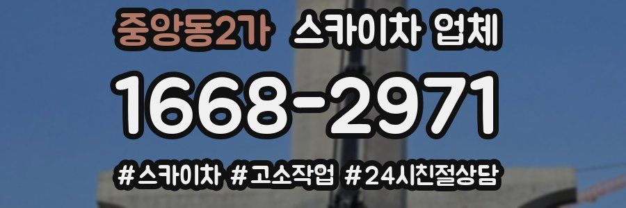 중앙동2가 스카이차 업체