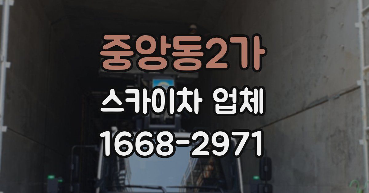 중앙동2가 스카이차 업체