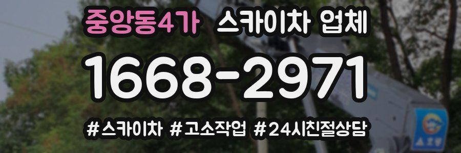 중앙동4가 스카이차 업체