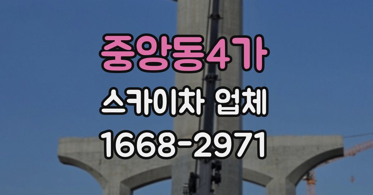 중앙동4가 스카이차 업체