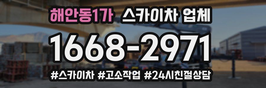 해안동1가 스카이차 업체