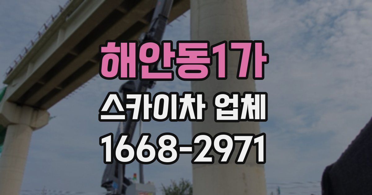 해안동1가 스카이차 업체