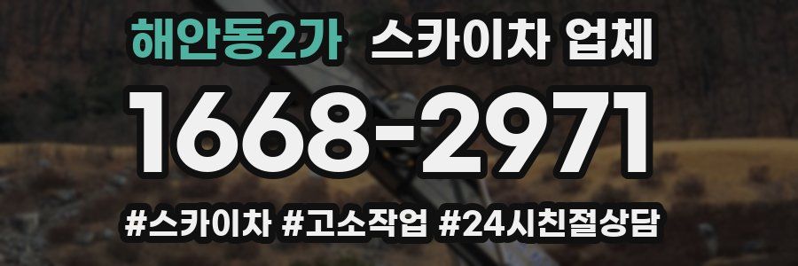 해안동2가 스카이차 업체