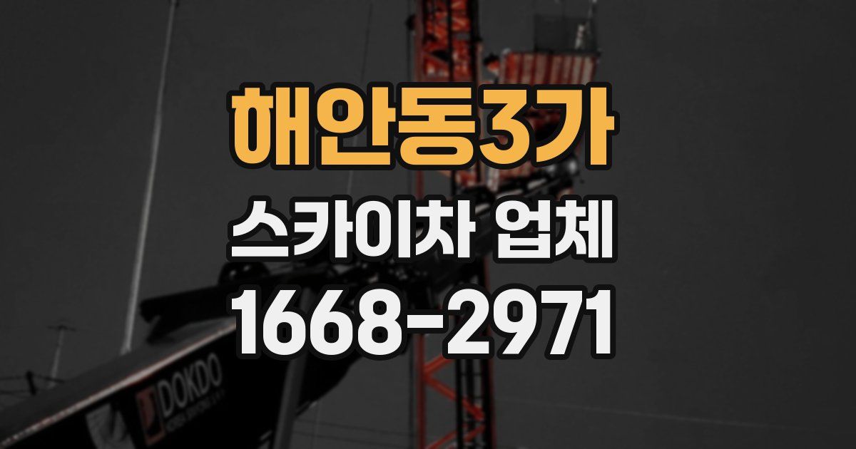 해안동3가 스카이차 업체