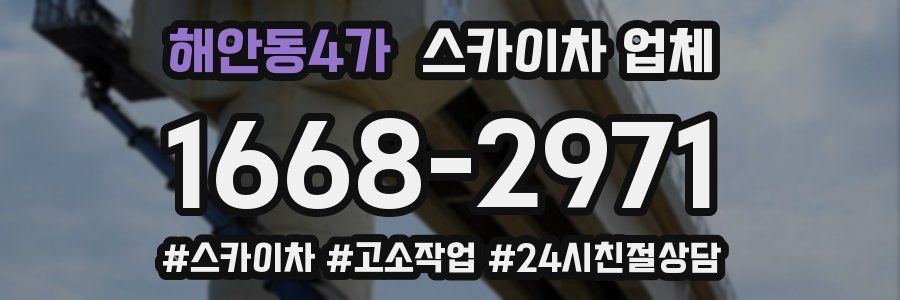 해안동4가 스카이차 업체