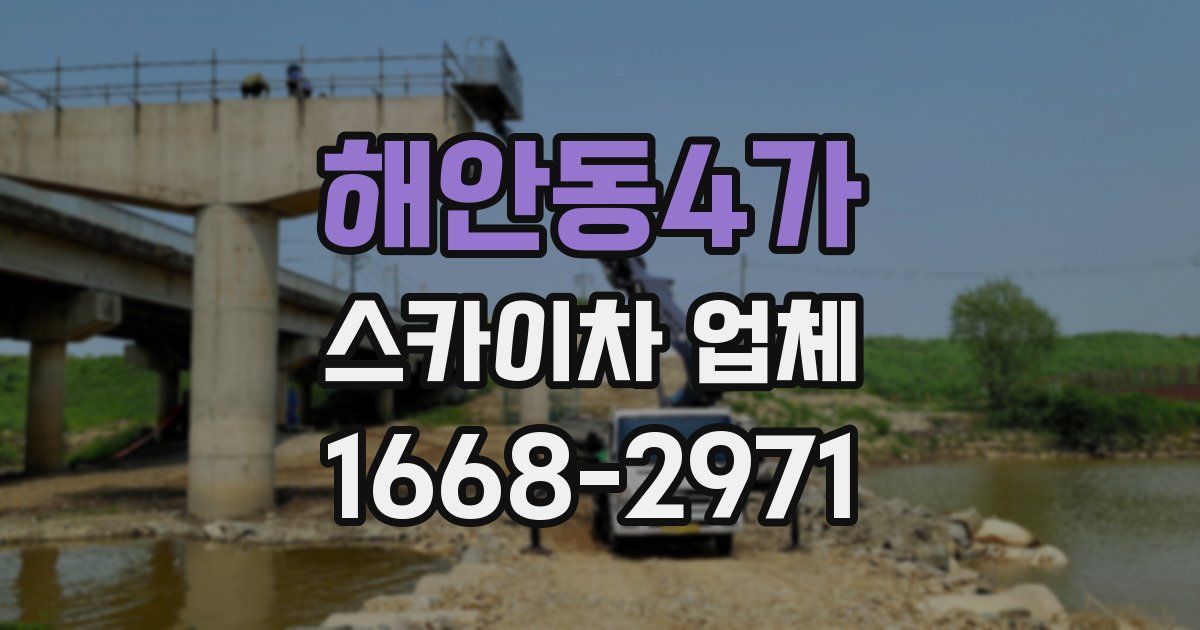 해안동4가 스카이차 업체
