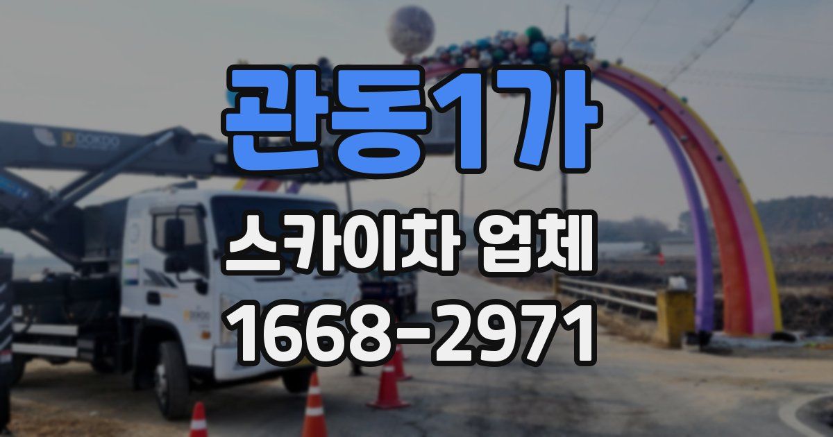 관동1가 스카이차 업체
