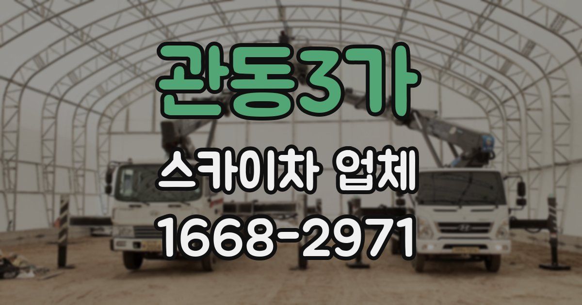 관동3가 스카이차 업체