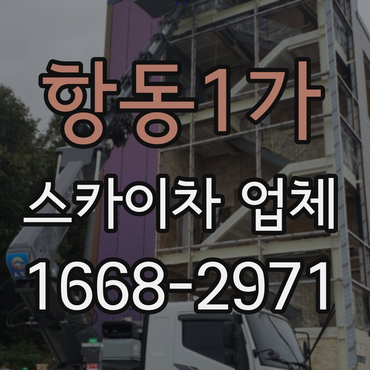 항동1가 스카이차 업체