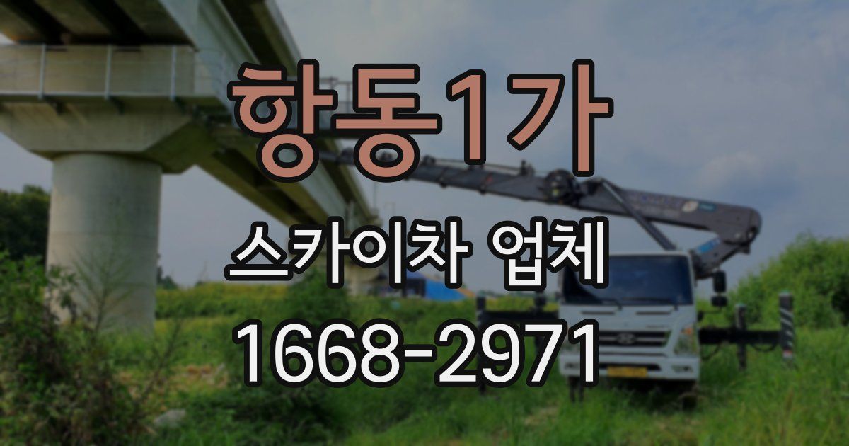 항동1가 스카이차 업체