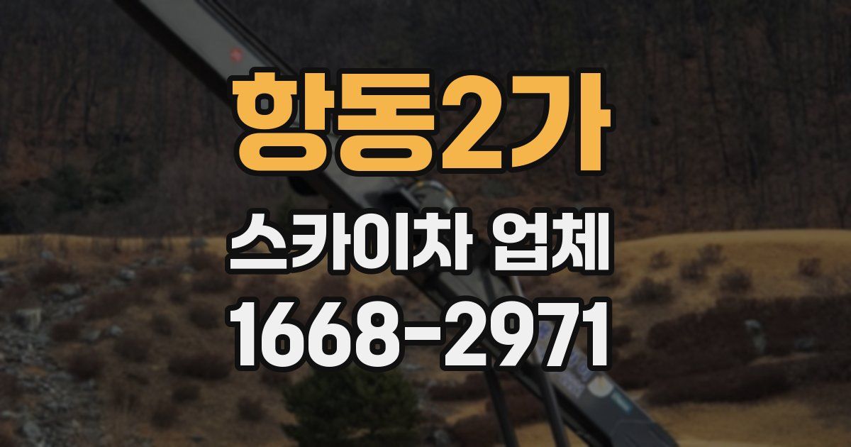 항동2가 스카이차 업체