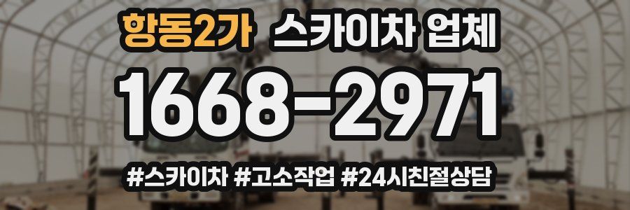 항동2가 스카이차 업체