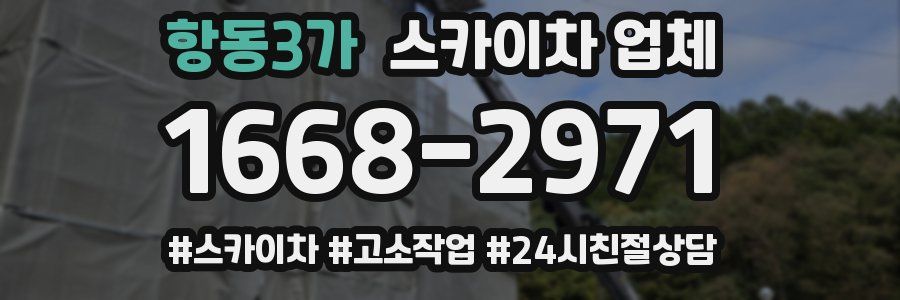항동3가 스카이차 업체