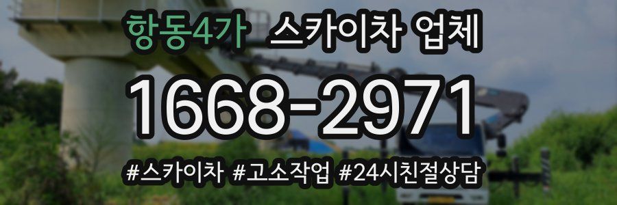 항동4가 스카이차 업체