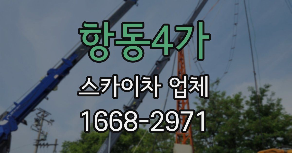 항동4가 스카이차 업체