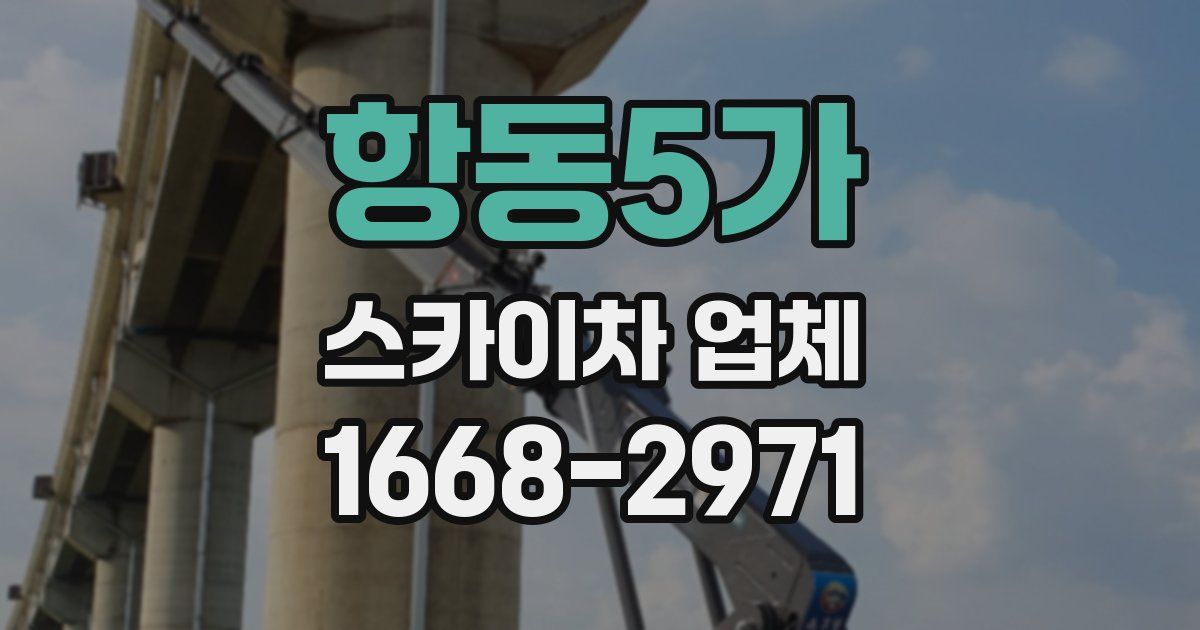 항동5가 스카이차 업체