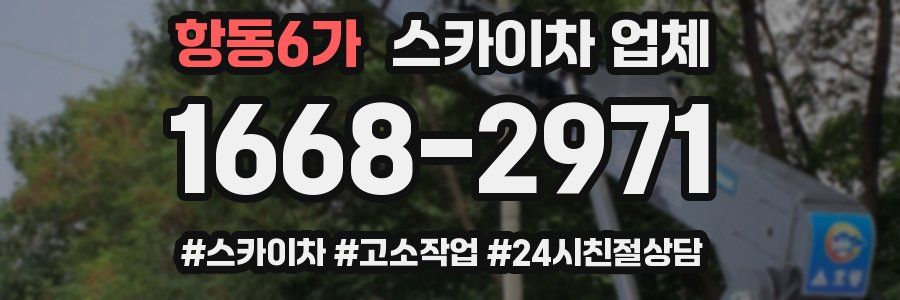 항동6가 스카이차 업체