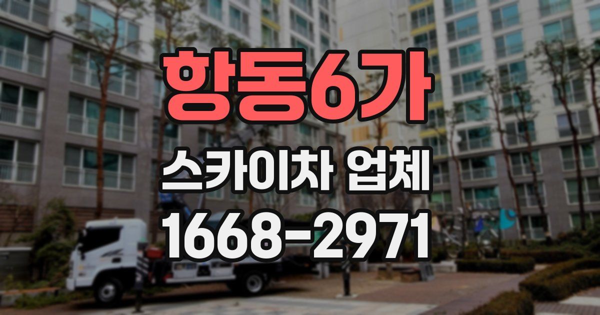 항동6가 스카이차 업체