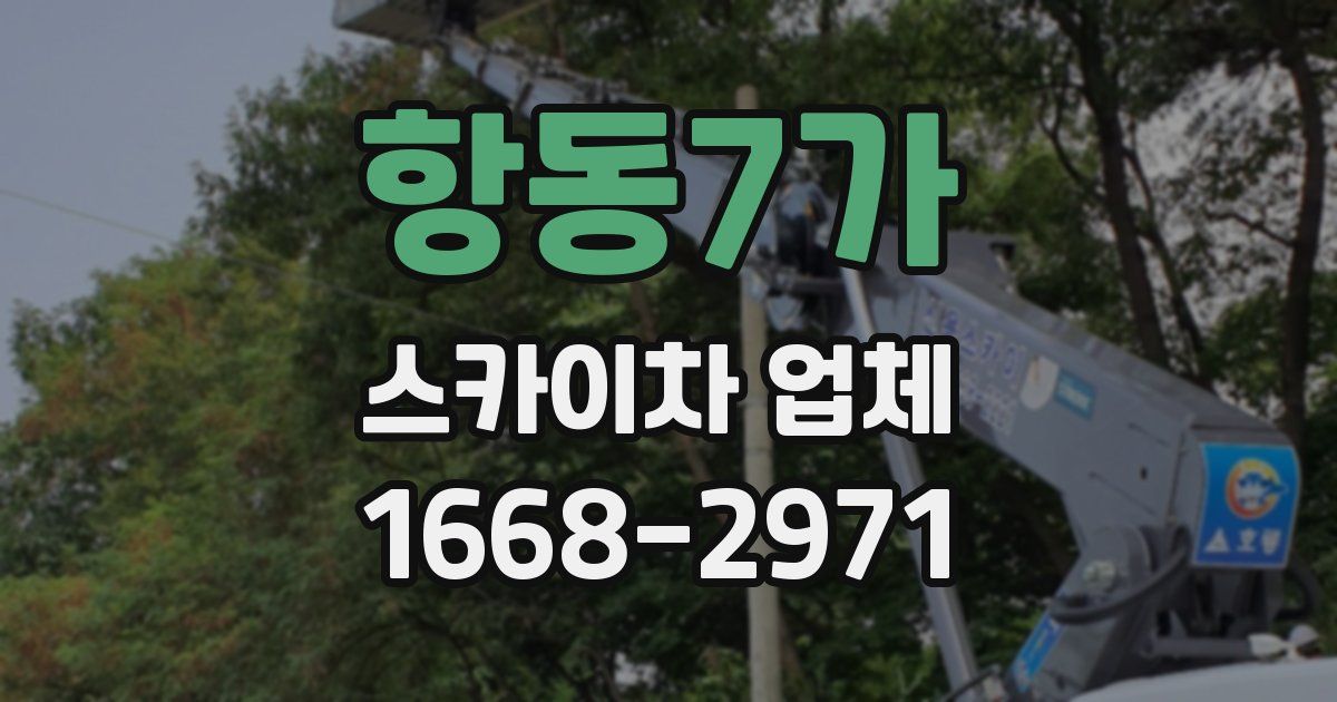 항동7가 스카이차 업체