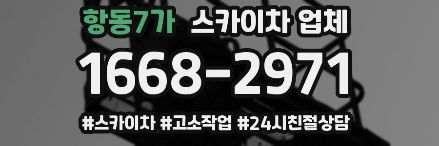 항동7가 스카이차 업체