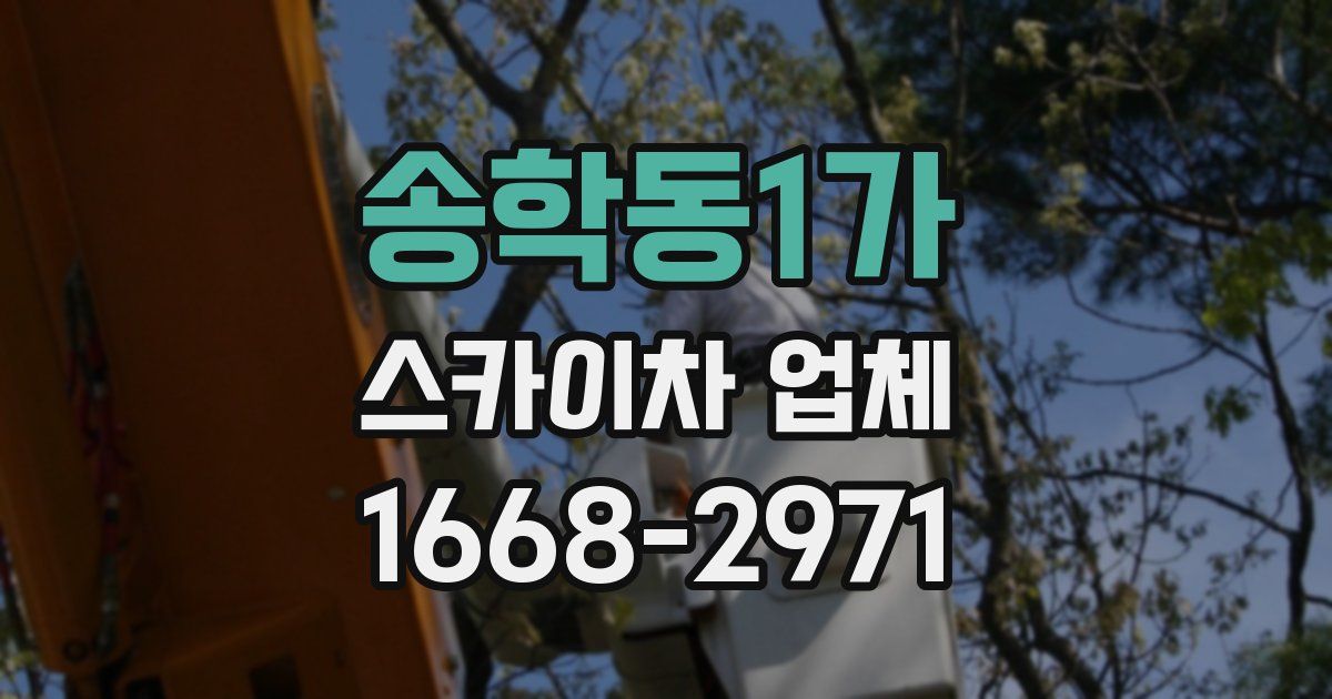 송학동1가 스카이차 업체