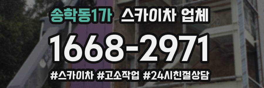 송학동1가 스카이차 업체
