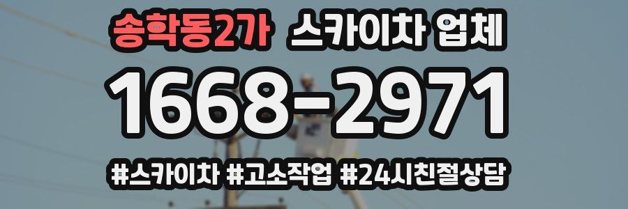 송학동2가 스카이차 업체