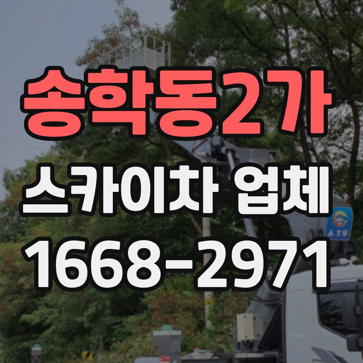 송학동2가 스카이차 업체