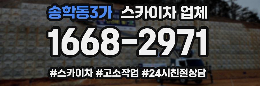송학동3가 스카이차 업체