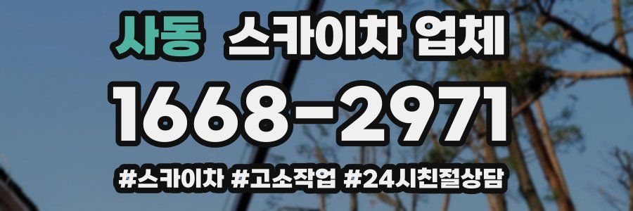 사동 스카이차 업체