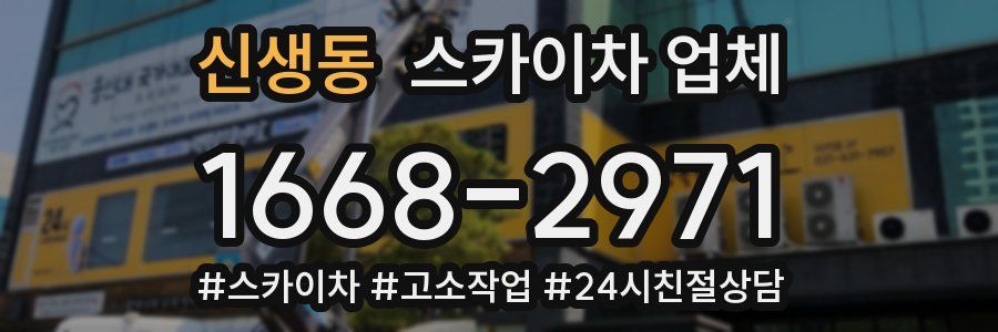 신생동 스카이차 업체