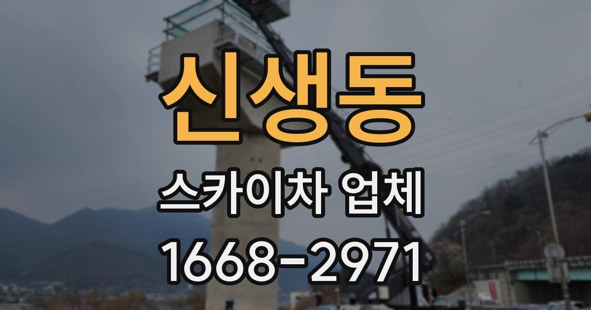 신생동 스카이차 업체