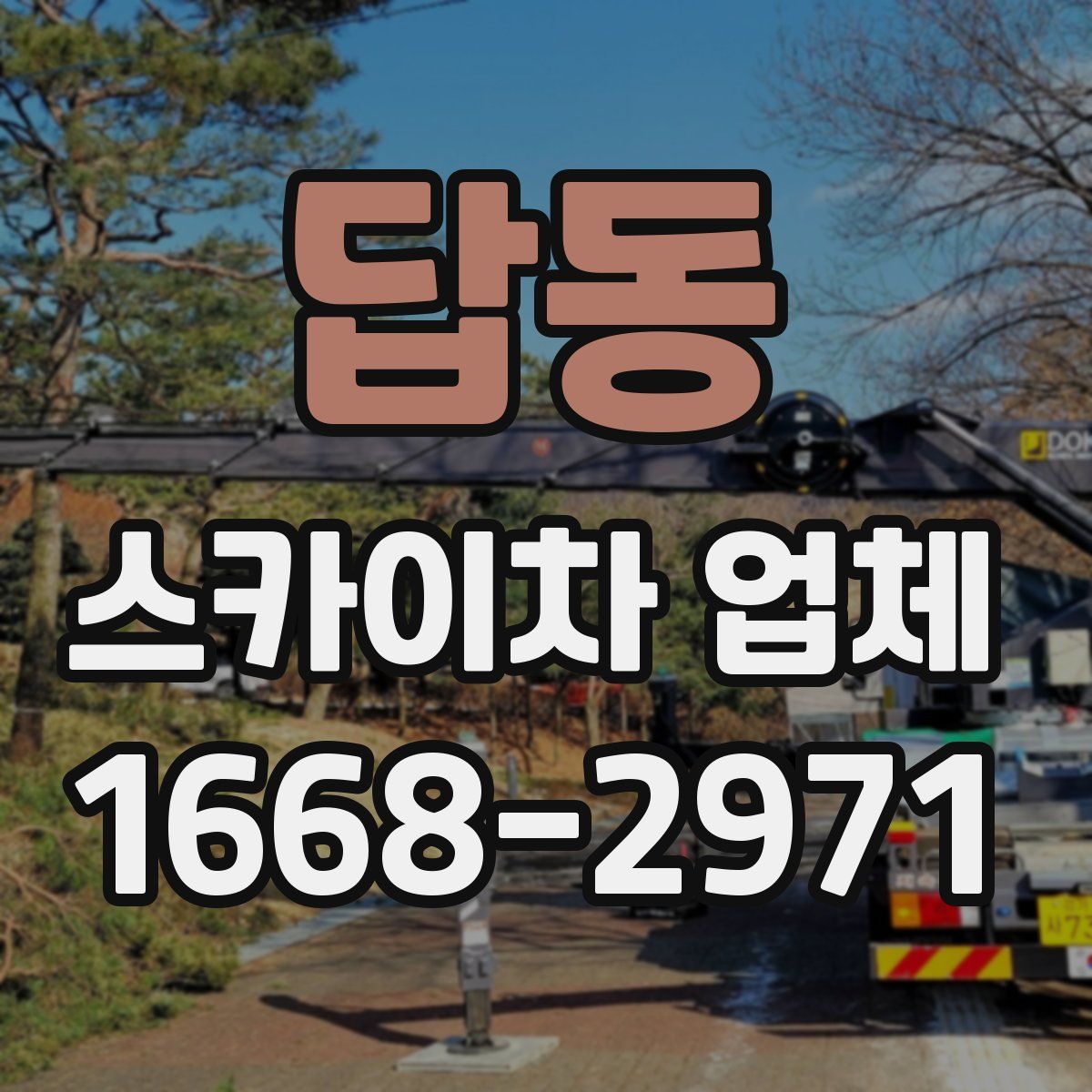 답동 스카이차 업체