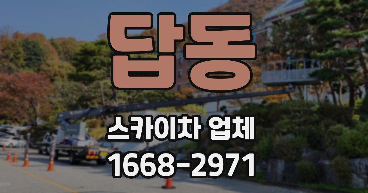 답동 스카이차 업체