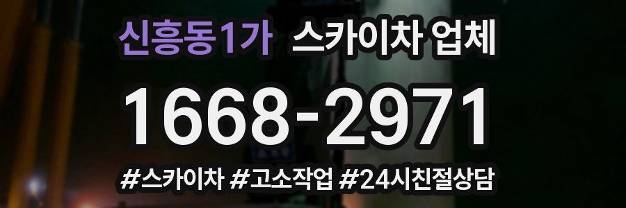 신흥동1가 스카이차 업체