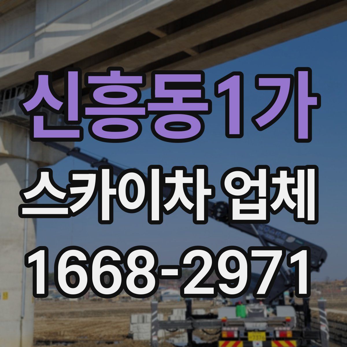 신흥동1가 스카이차 업체
