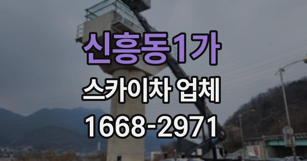 신흥동1가 스카이차 업체