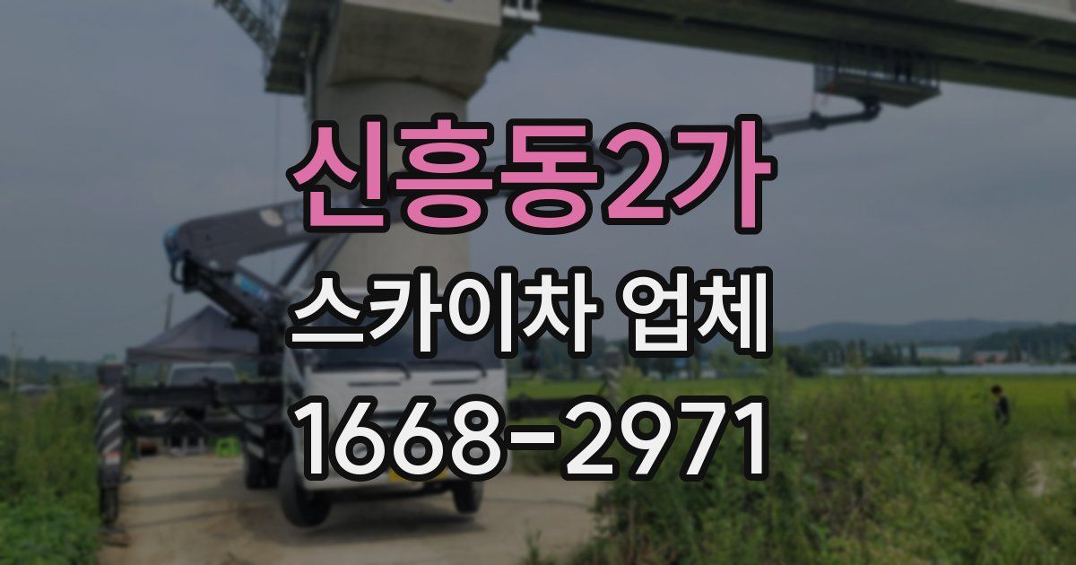 신흥동2가 스카이차 업체