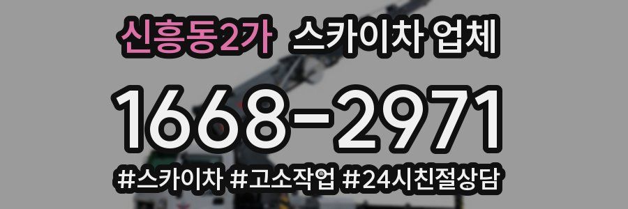 신흥동2가 스카이차 업체