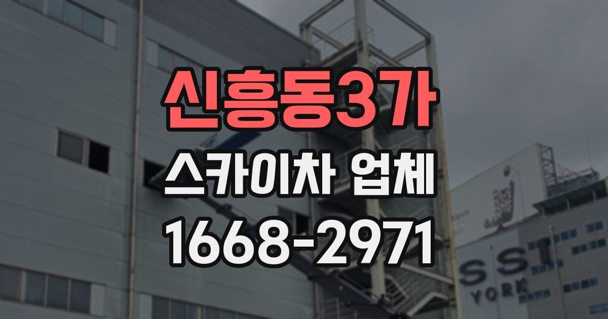 신흥동3가 스카이차 업체
